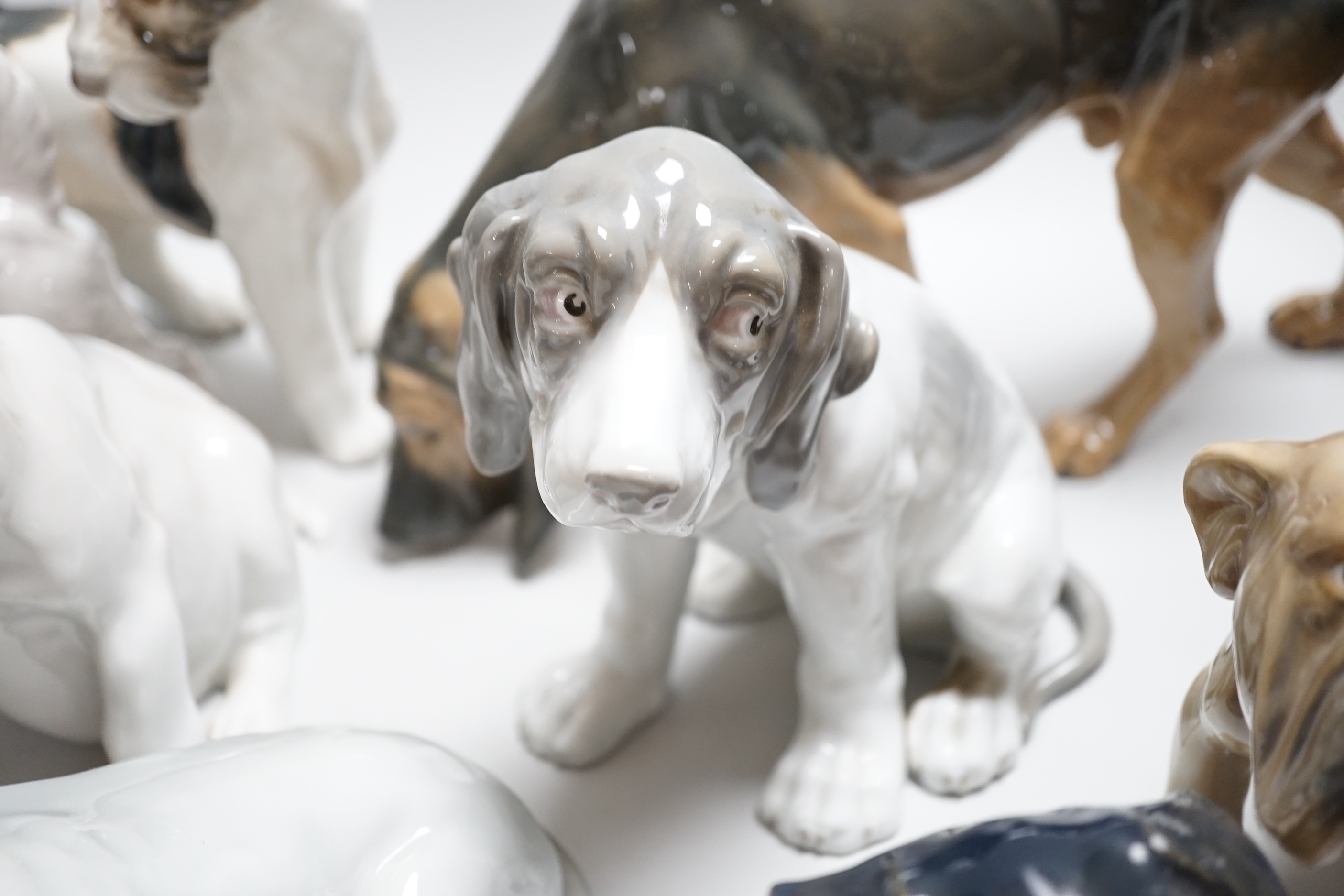 Nine models of dogs; Royal Copenhagen, B&G and Rosenthal etc including terriers, bulldogs, King Charles spaniel, etc, the largest 30cm wide